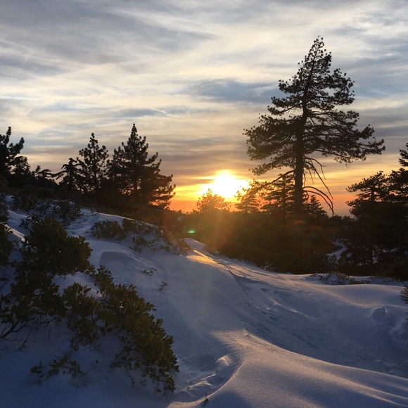 Meet your Posher, Kellen - Picture 1 of 1